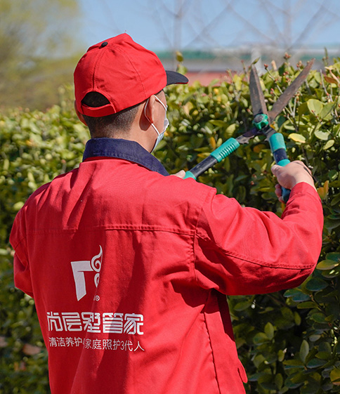 庭院養(yǎng)護圖片2