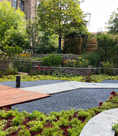 庭院養(yǎng)護圖片3